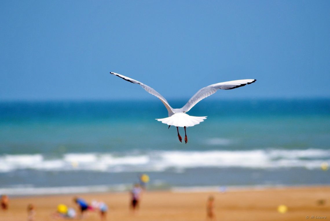 plage-manche