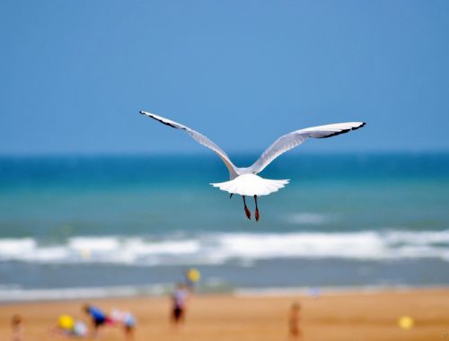 plage-manche